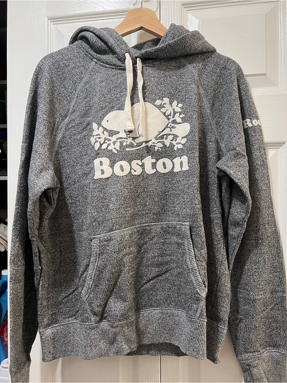 Canadian brand ROOTS - Boston Graphic Hooded Sweatshirt - Gray